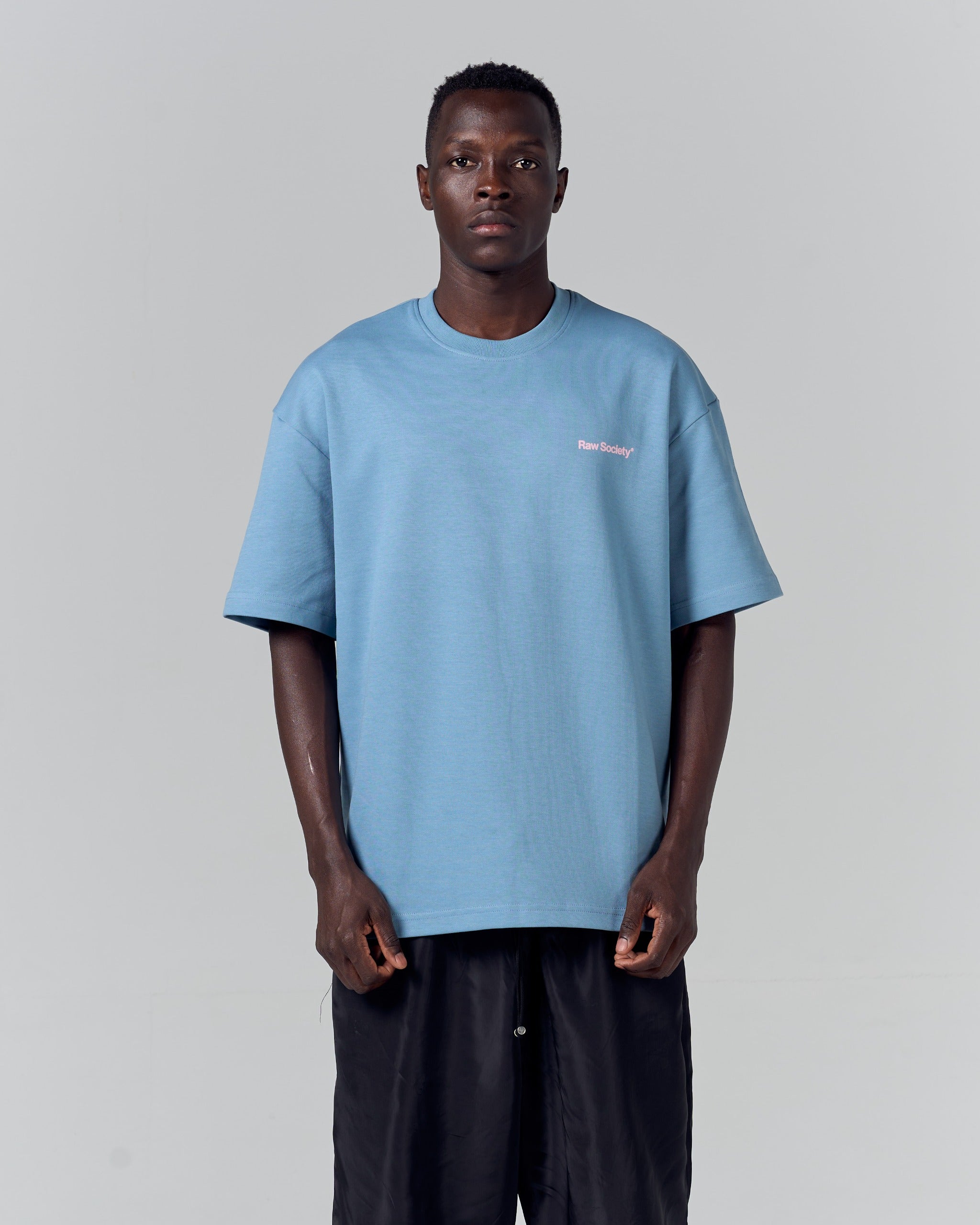 Core Logo Regular Tee - Baby Blue